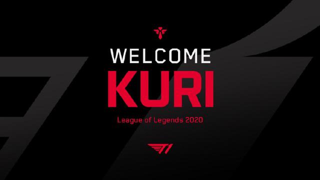 丰富经验加 丰富经验加